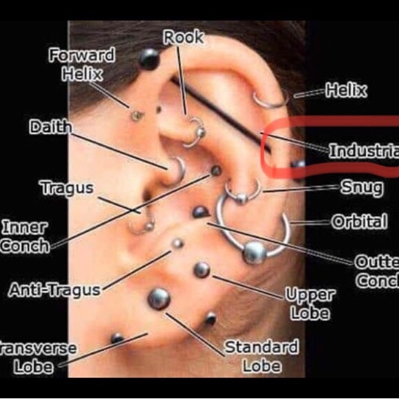 1 Piece Bar with Rhinestone Industrial/Crawler 14g Piercing NWT - Picture 5 of 5